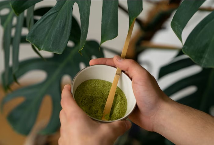 Matcha, Kemewahan Baru yang Jadi Gaya Hidup Massal di Tengah Krisis